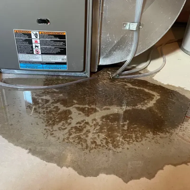 Appliance Leak Cleanup in Davis County, UT